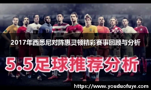 2017年西悉尼对阵惠灵顿精彩赛事回顾与分析